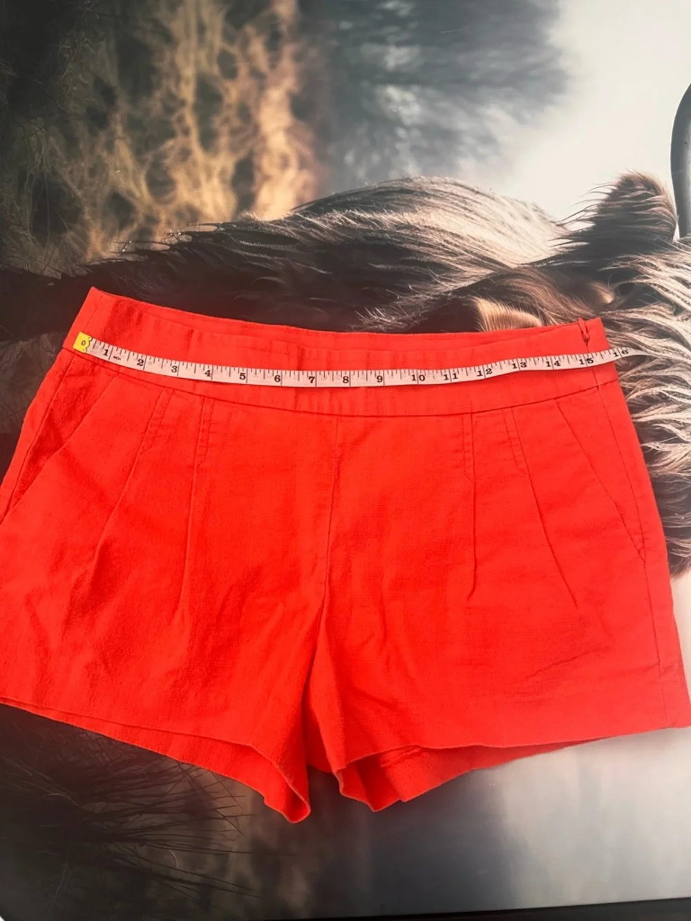 J. Crew Coral-Red High Waist Tailored Shorts - Picture 4 of 8